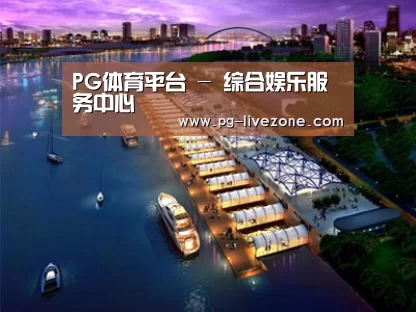 案例展示八