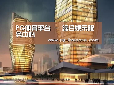 案例展示三