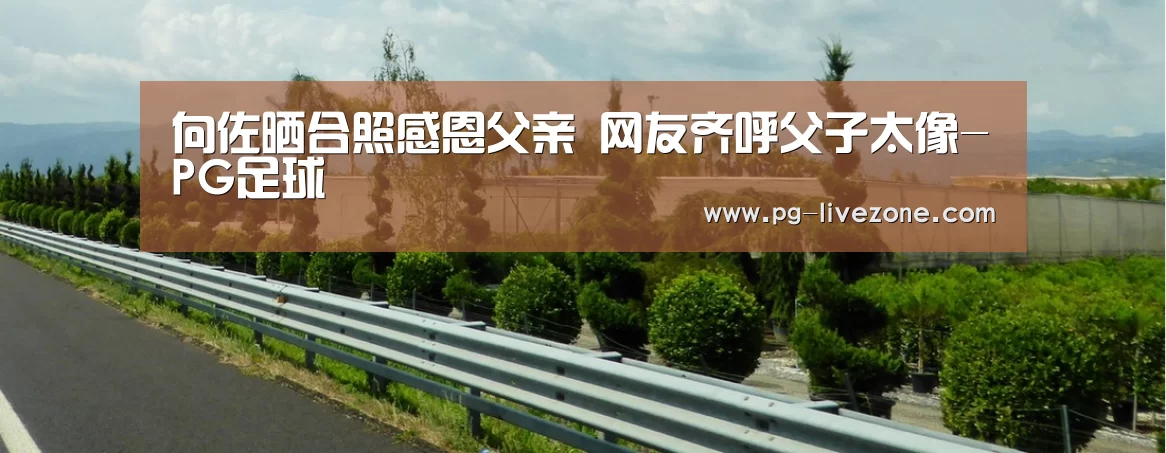 向佐晒合照感恩父亲 网友齐呼父子太像-PG足球(图1) PG篮球
