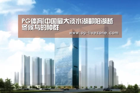 PG篮球