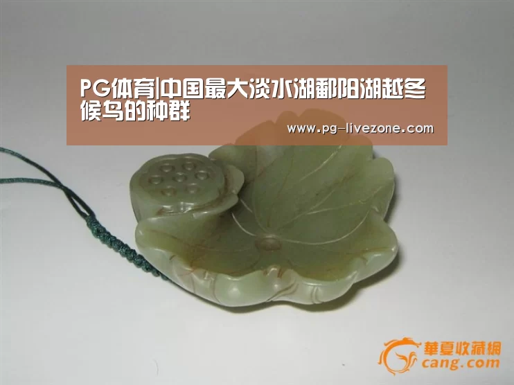 PG体育
